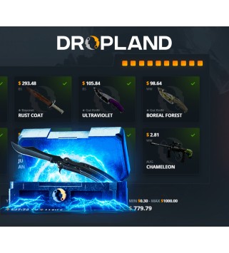 RESTRICTED VS. BUTTERFLY KNIFE Random CS2 Skin Case Dropland.net Key GLOBAL